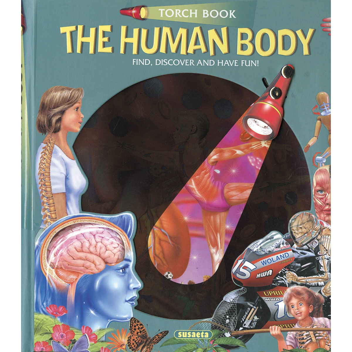 The human body 1