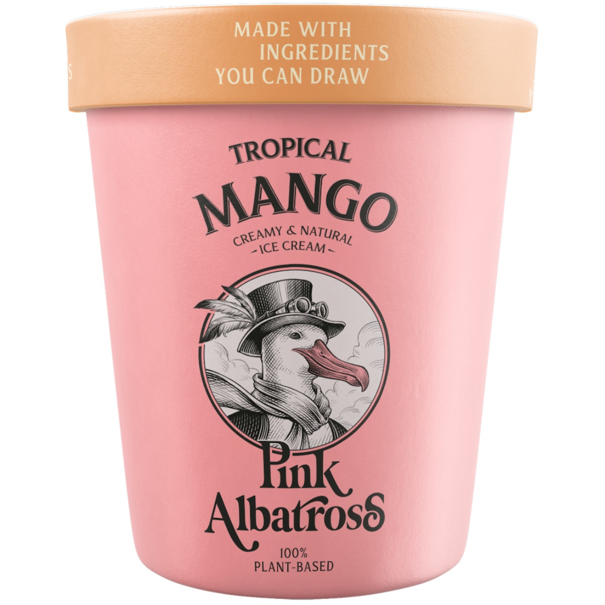 Gelado Manga Tropical Vegan embalagem 480 ml