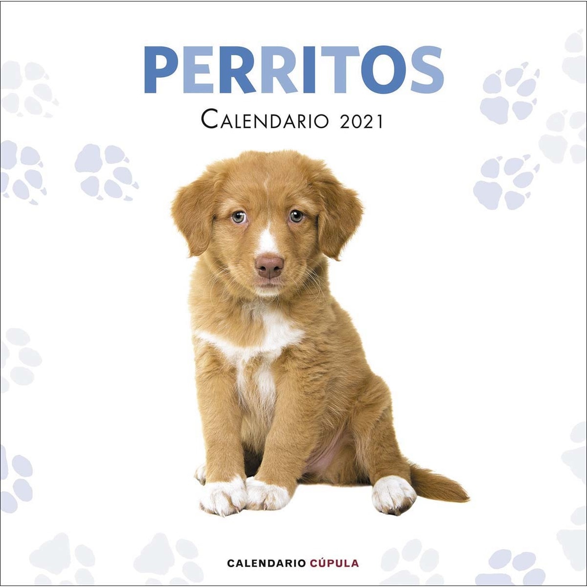 Calendario Perritos 2021 1