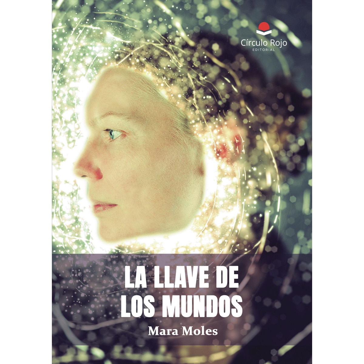 La llave de los mundos(Tapa blanda) 1