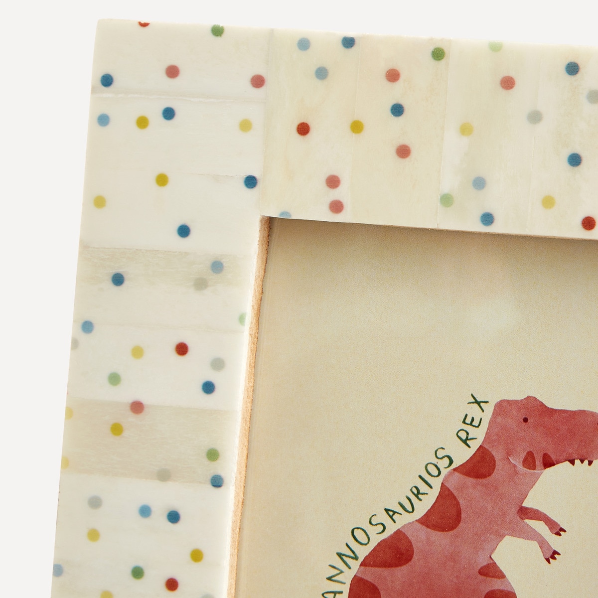 Moldura de fotografias às bolinhas Rex Multicolor-3