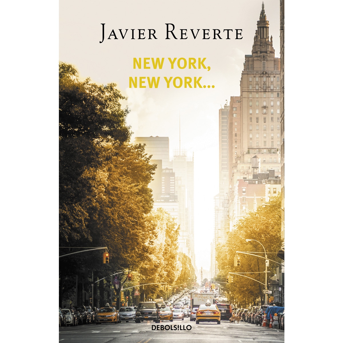 Imagem 0 de New York, New York... (Bolso) (Capa mole)