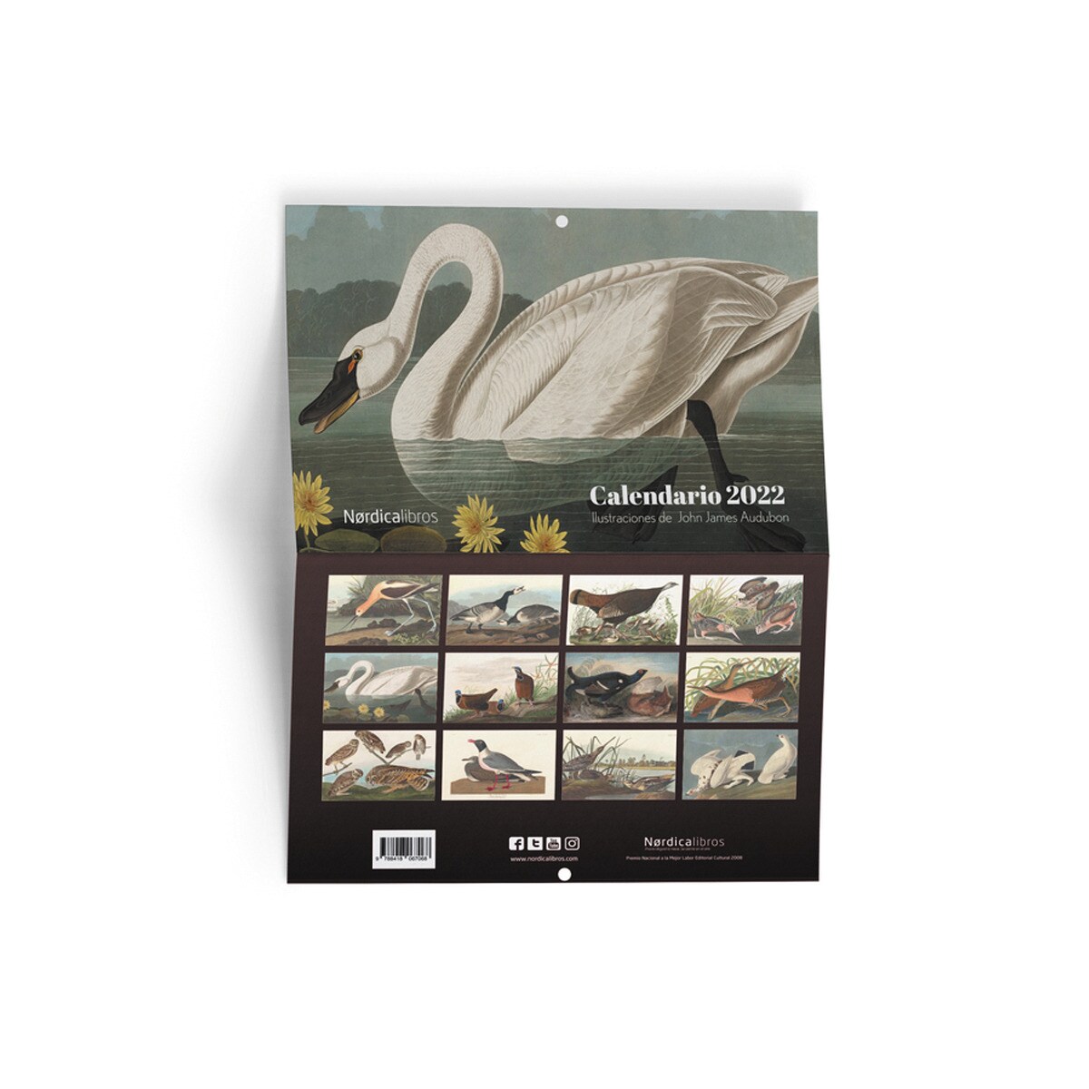 Calendario aves de américa 1