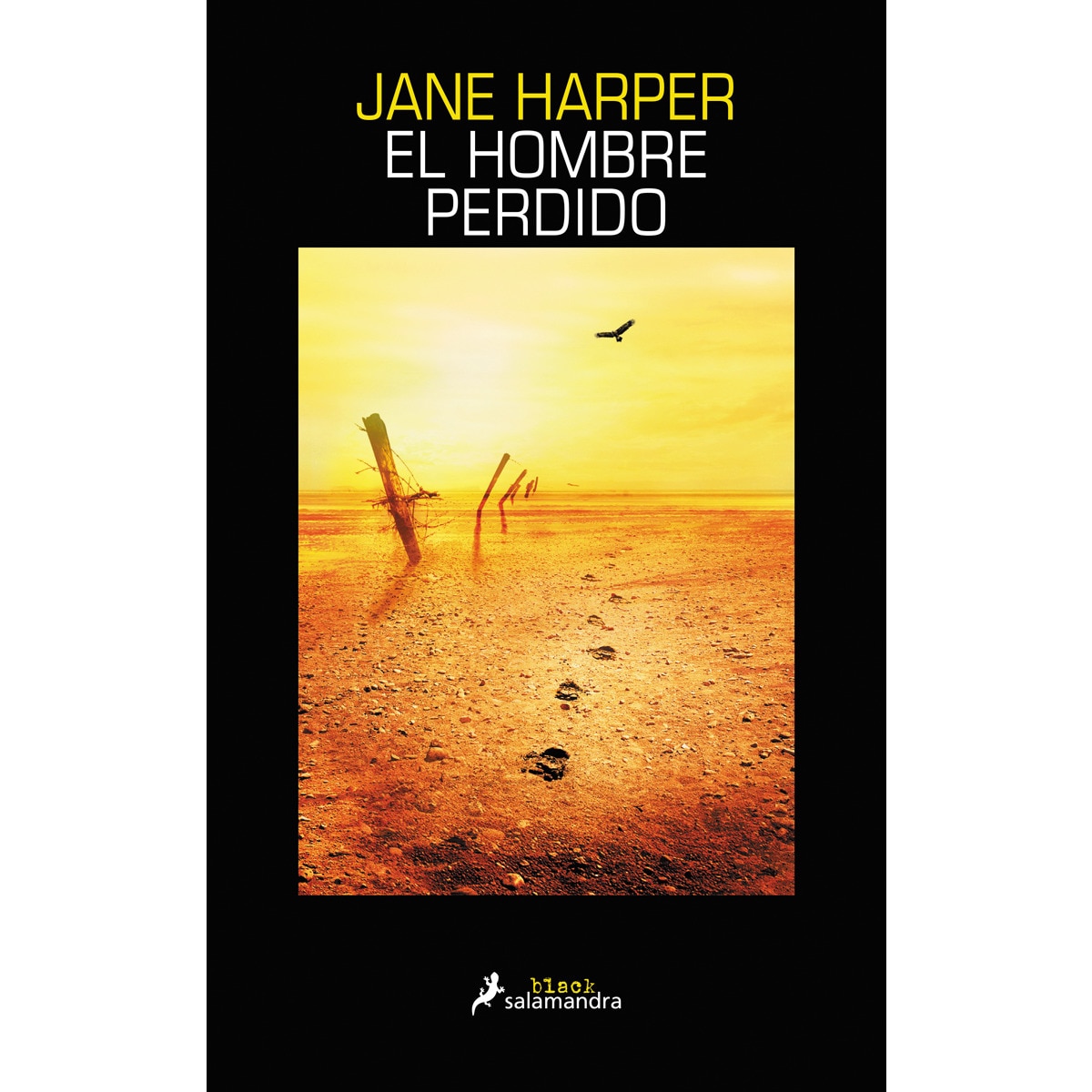 El hombre perdido(Tapa blanda) 1