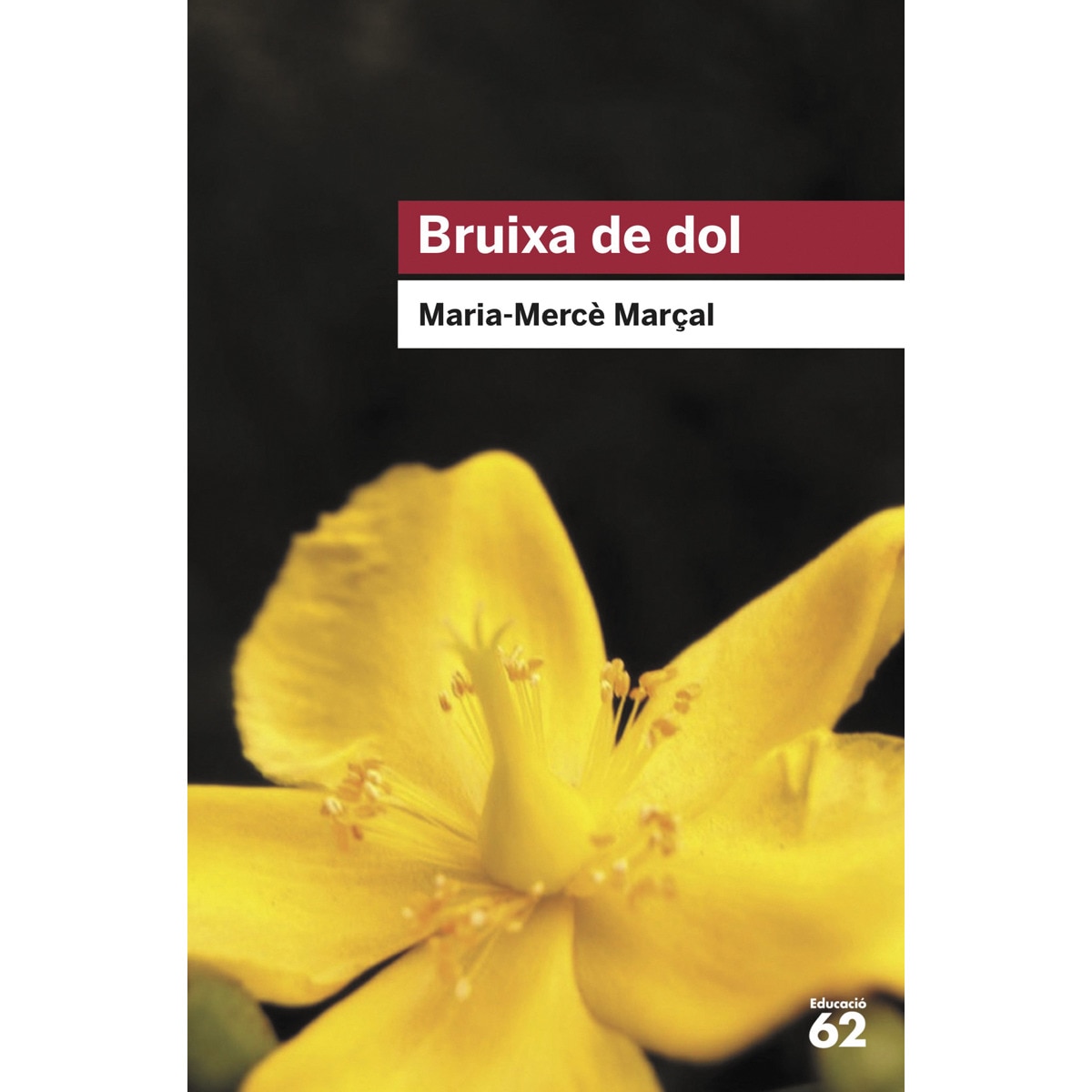Imagem 0 de Bruixa de dol (1977-1979)(Tapa blanda)