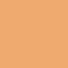 13 Sand Beige
