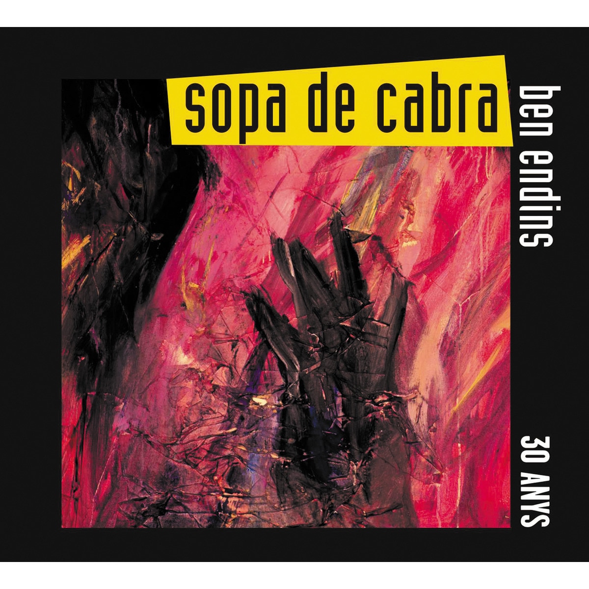 Imagen 0 de Ben endins - 30 anys (2 CD)