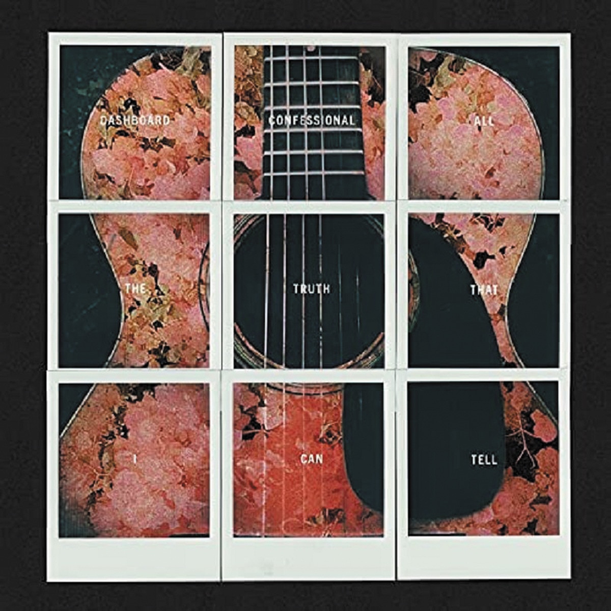 Imagem 0 de All the Truth That I Can Tell (LP-Vinil)