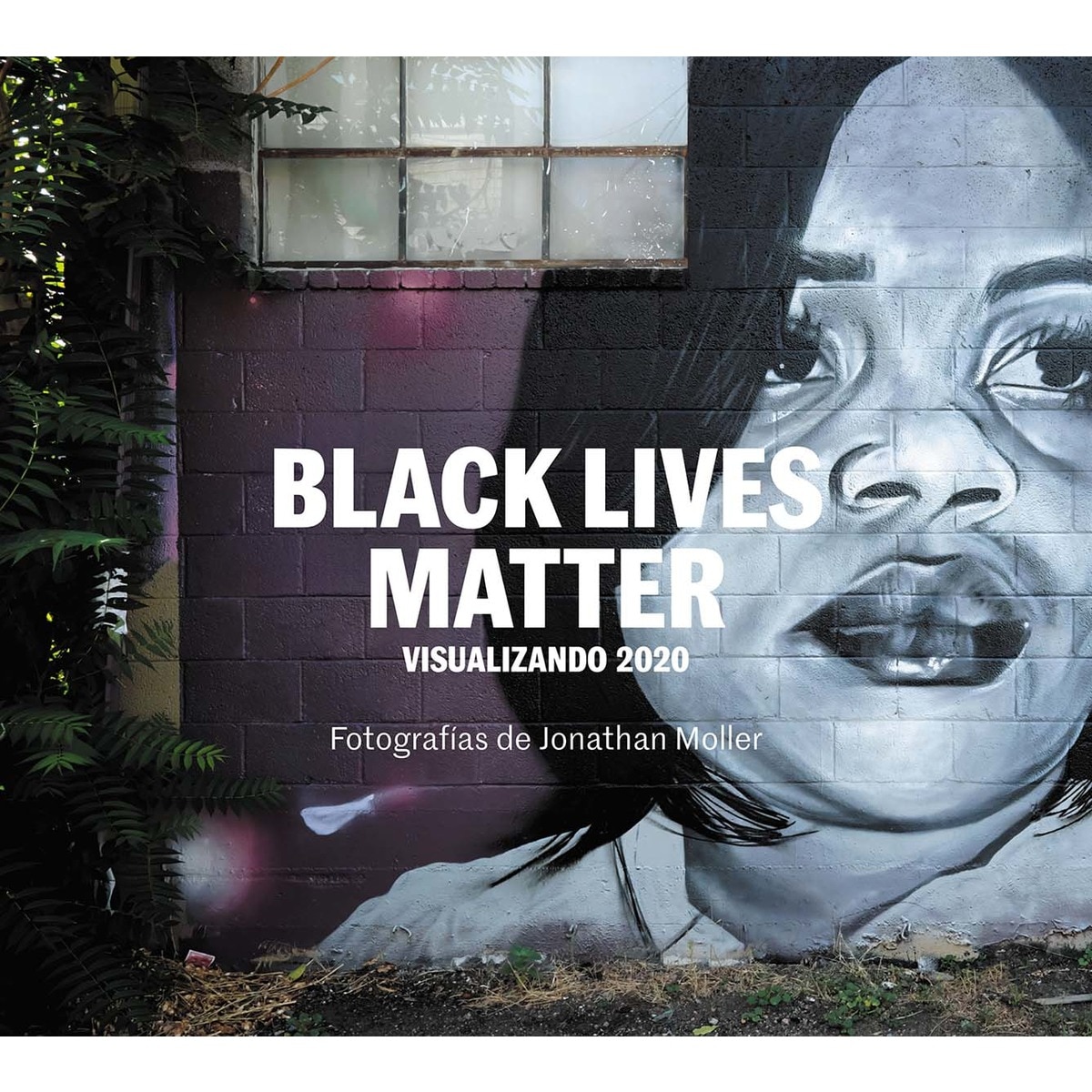 Black lives matter: visualizando 2020 1