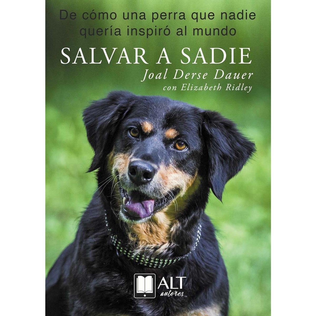 Imagem 0 de Salvar a sadie(Tapa blanda)