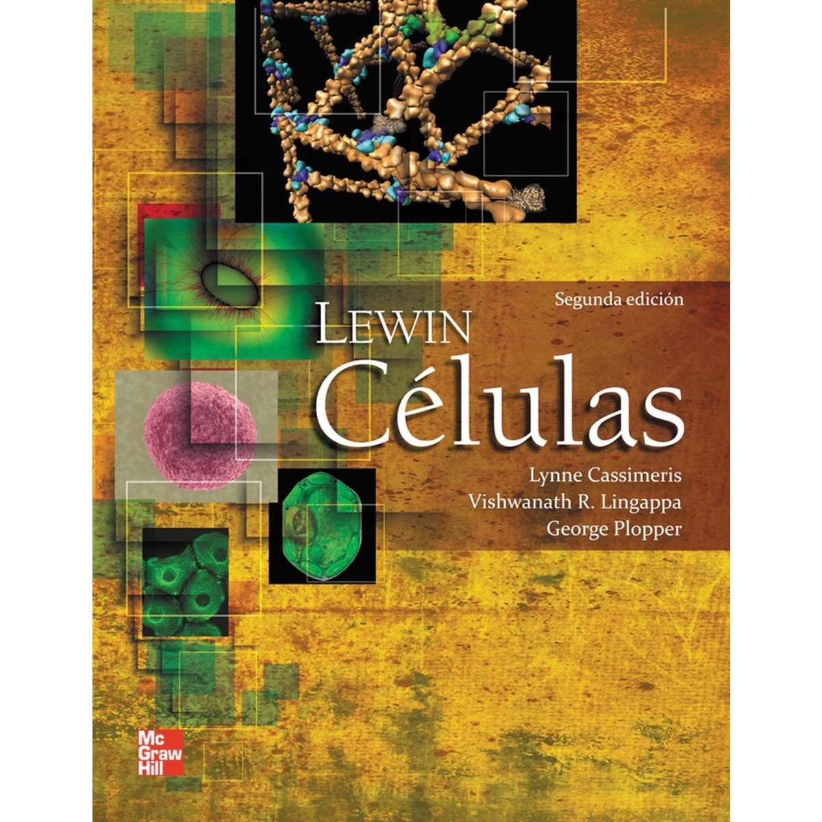 CELULAS (Capa mole) 1