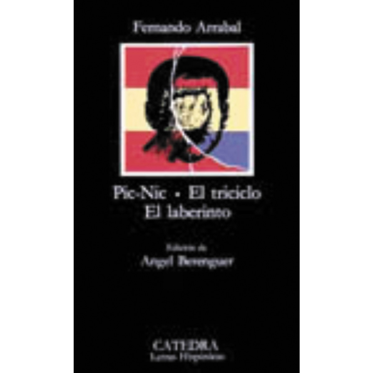 Pic-Nic; El triciclo; El laberinto  (Bolsillo) (Tapa blanda) 1