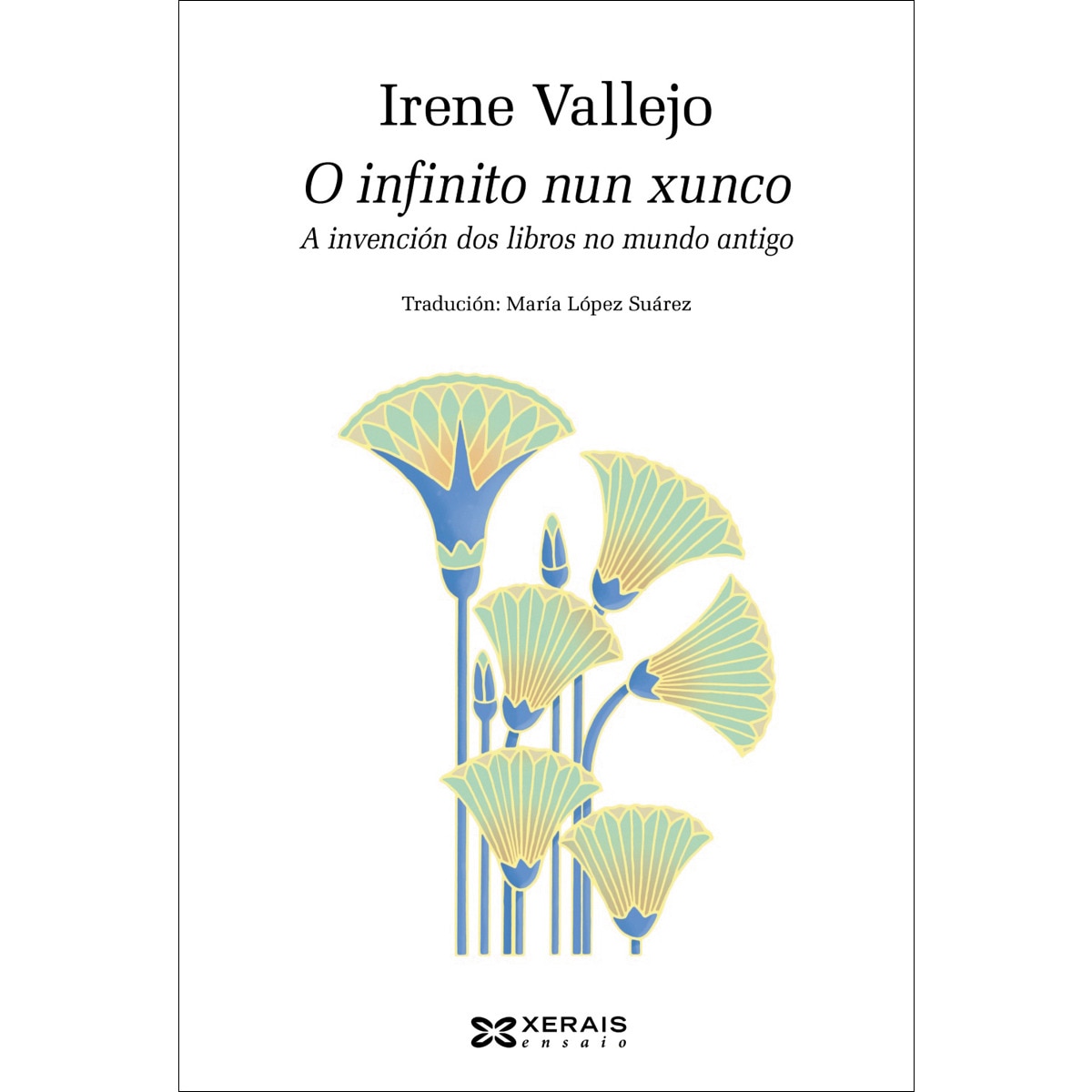 Imagem 0 de O infinito nun xunco: A invención dos libros no mundo antigo (Capa mole com abas)