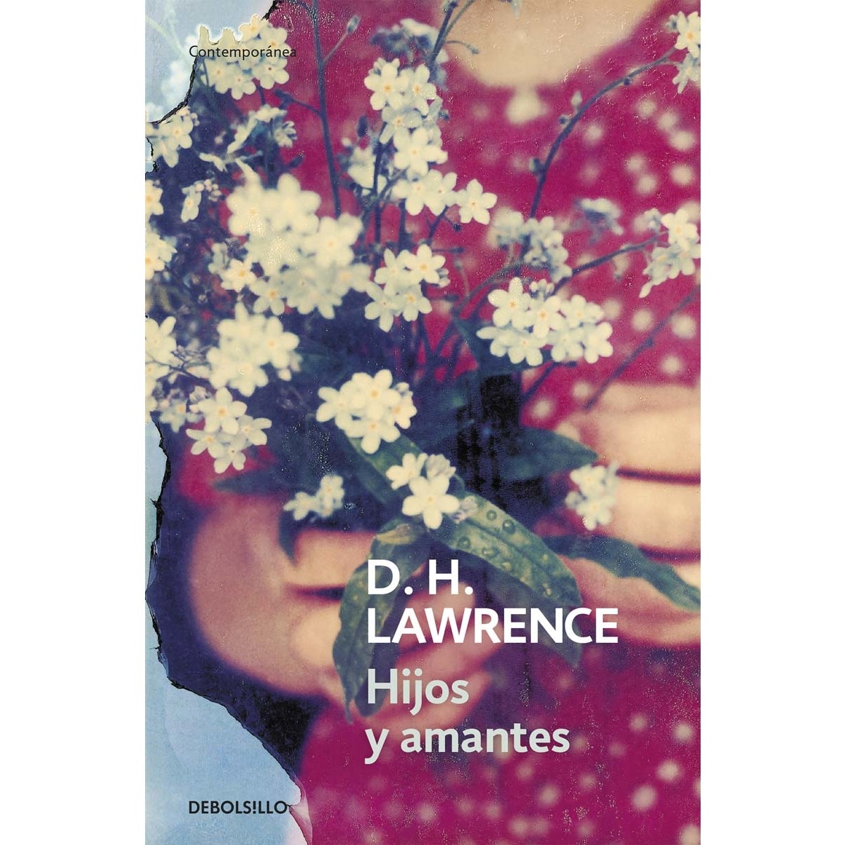 Imagem 0 de Hijos y amantes(Bolsillo) (Tapa blanda)