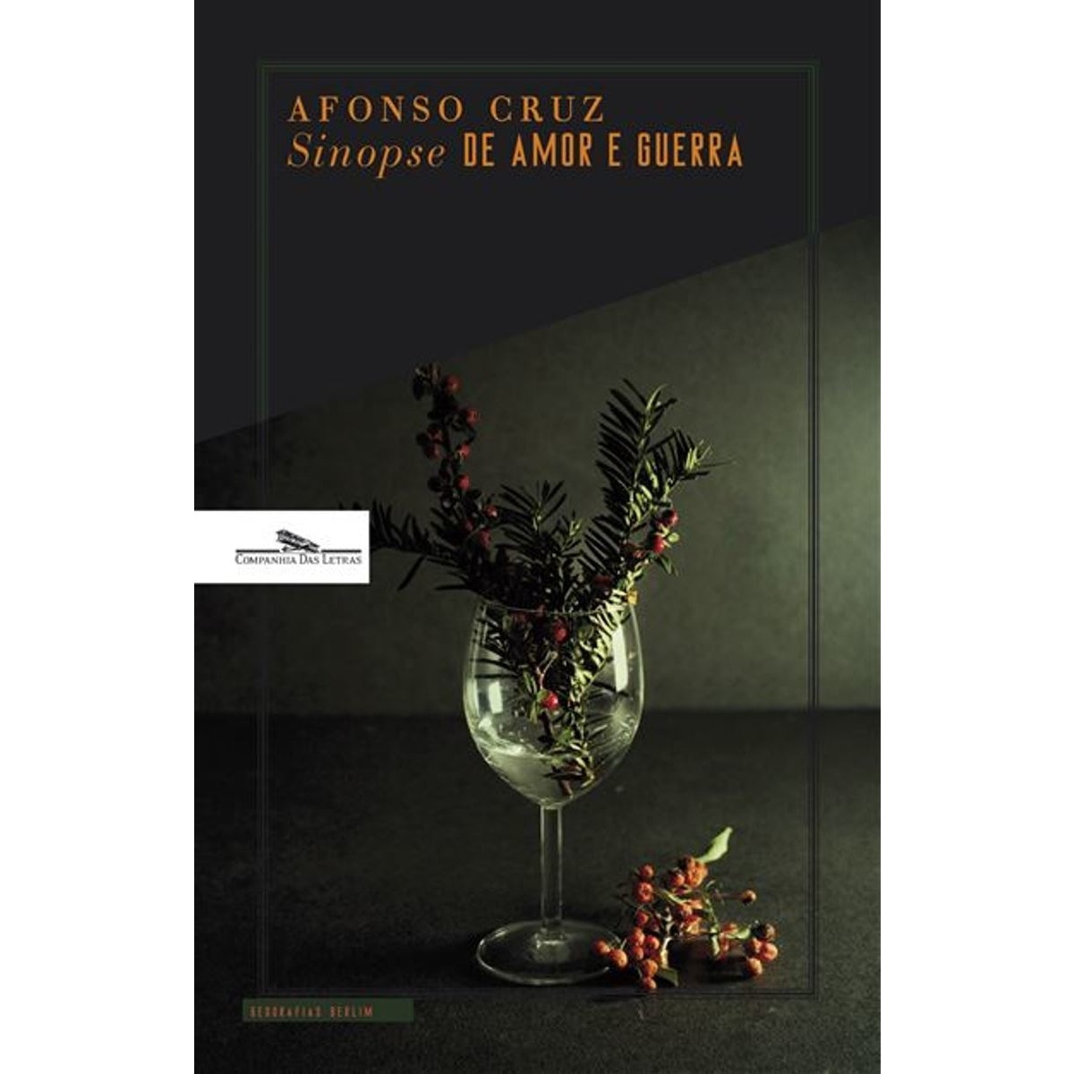 Imagem 0 de SINOPSE DE AMOR E GUERRA