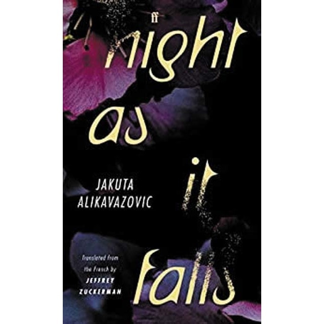 Night as it falls 1