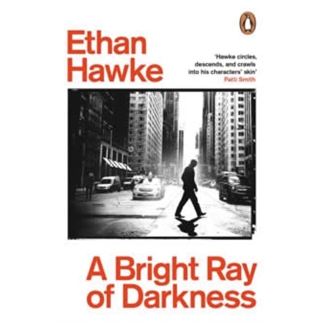 Imagem 0 de A bright ray of darkness