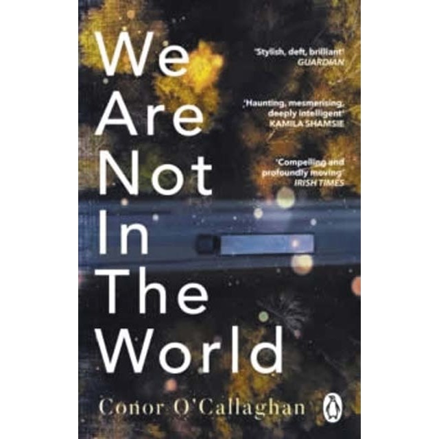 We are not in the world 1