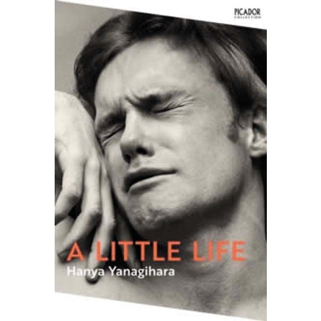 Imagem 0 de A little life