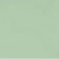 Sea Turtle Green
