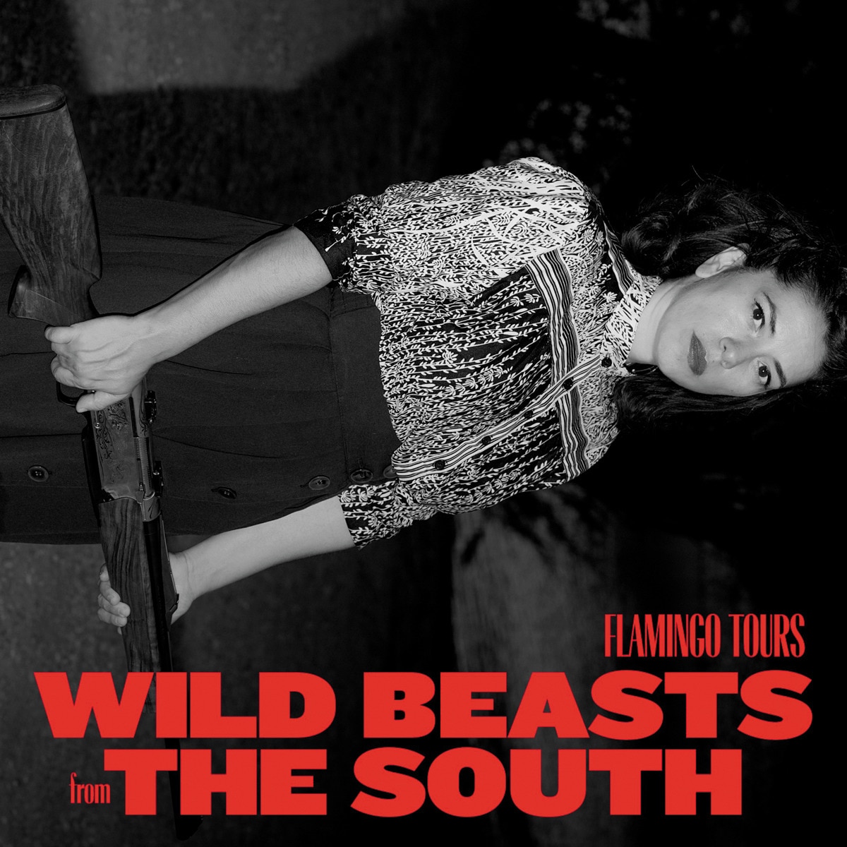 Imagem 0 de Wild Beasts from the South (CD + LP-Vinil