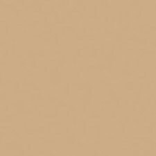 BD40 Warm Sand