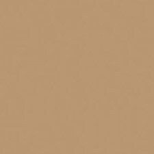 BD60 Warm Amber