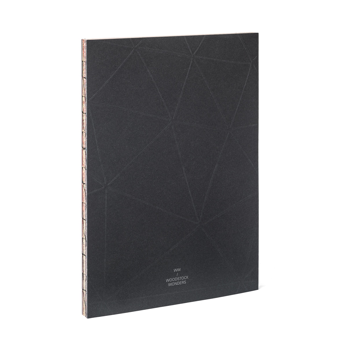 Caderno A4 Woodstock - Multicolor Multicolor-1