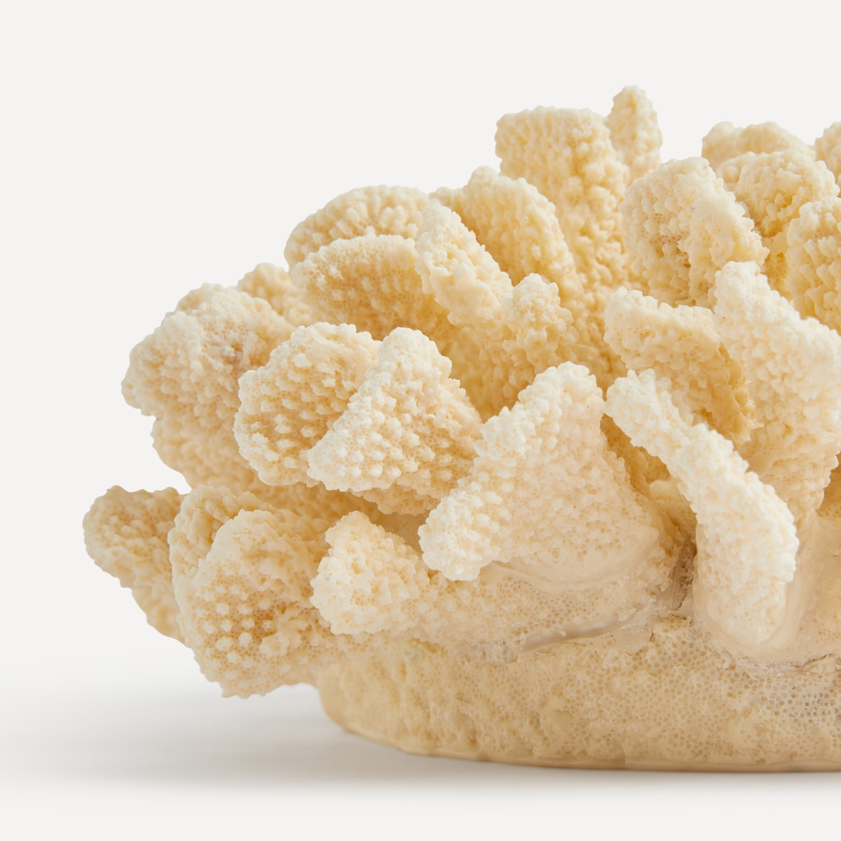 Figura Coral Gorgona Creme-3