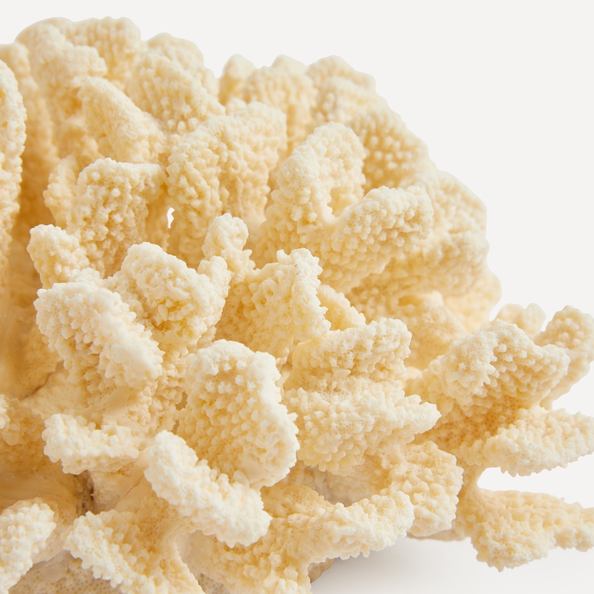 Figura Coral Gorgona Creme-2