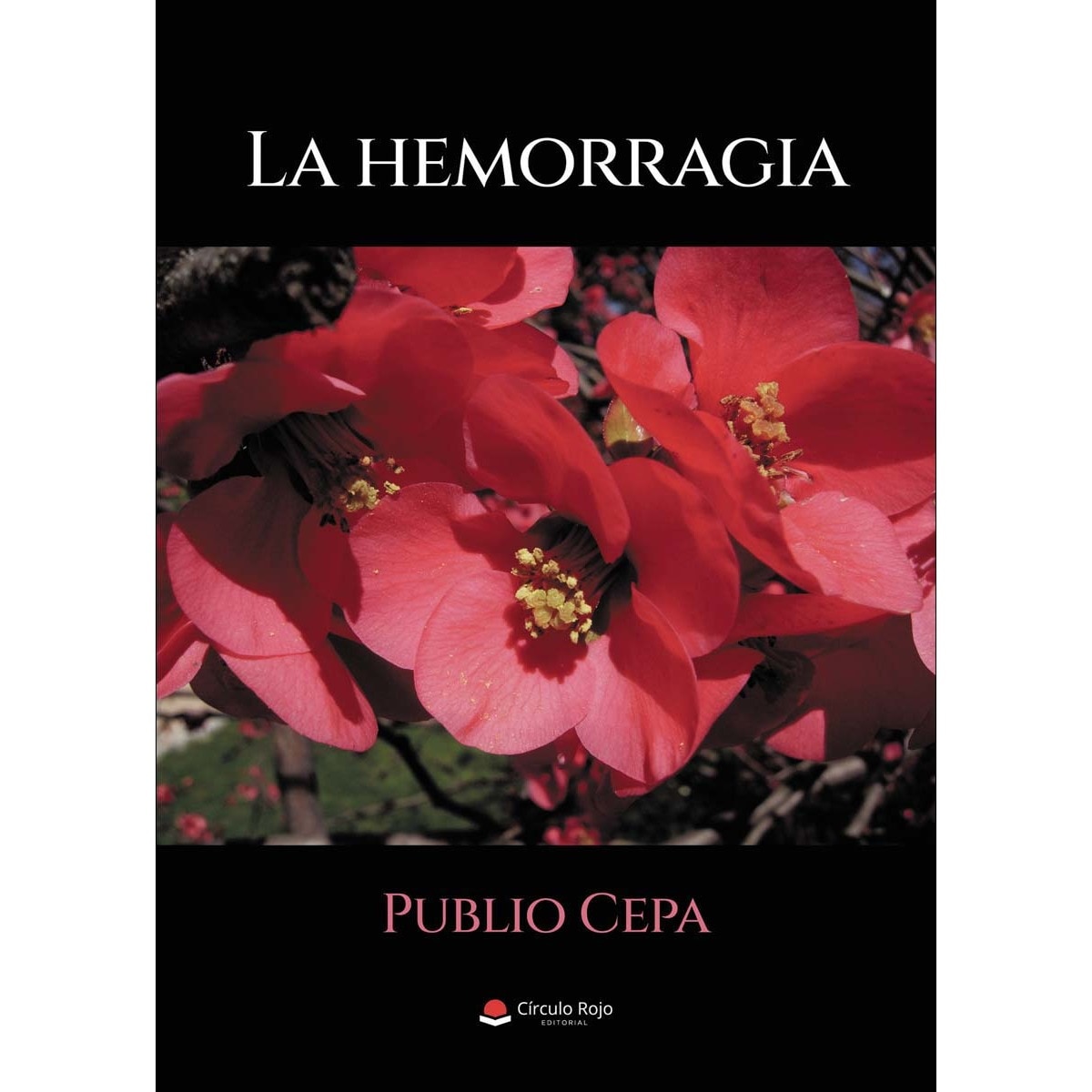 La hemorragia (Tapa blanda) · Novela Española e Hispanoamericana · El ...