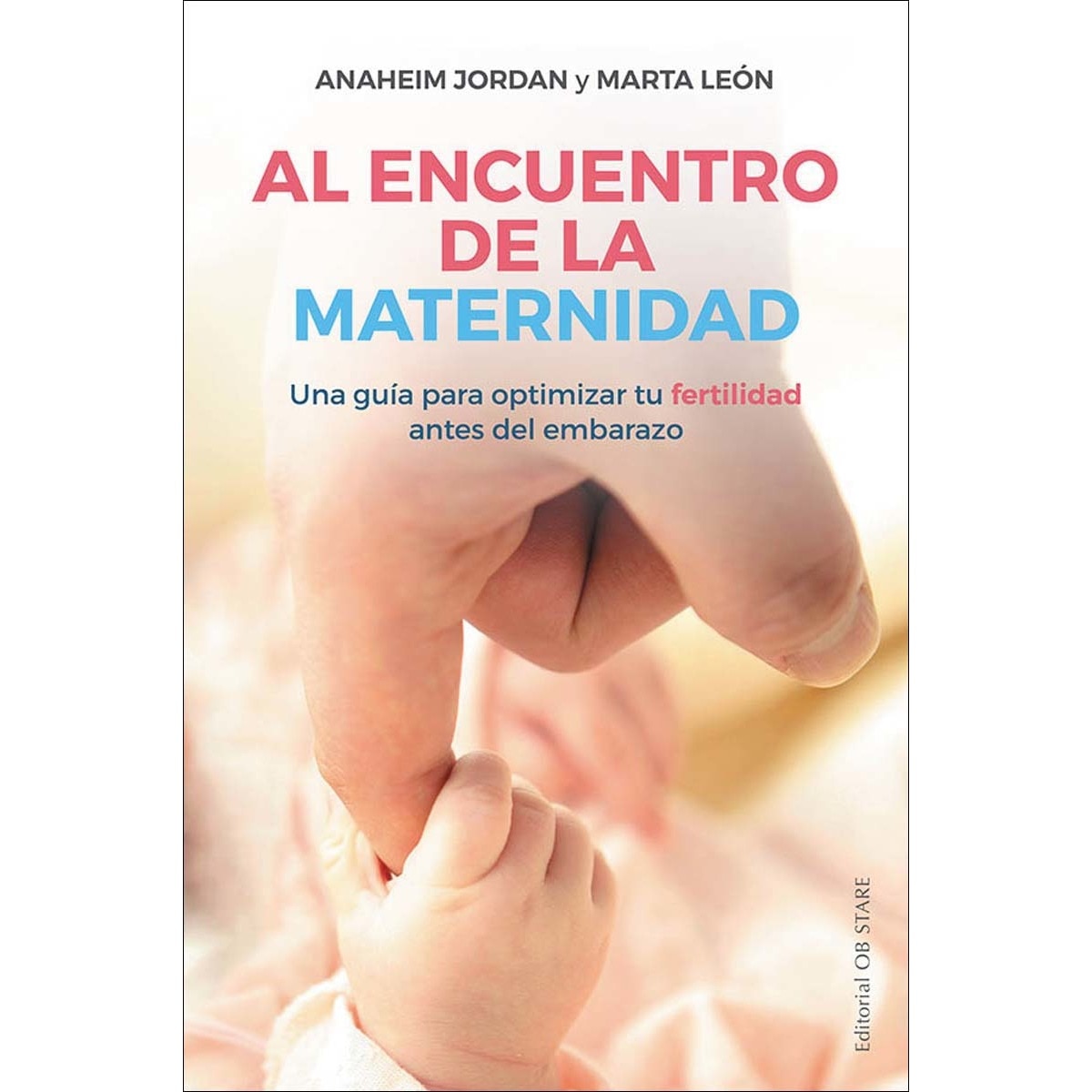 Imagem 0 de Al encuentro de la maternidad(Tapa blanda)