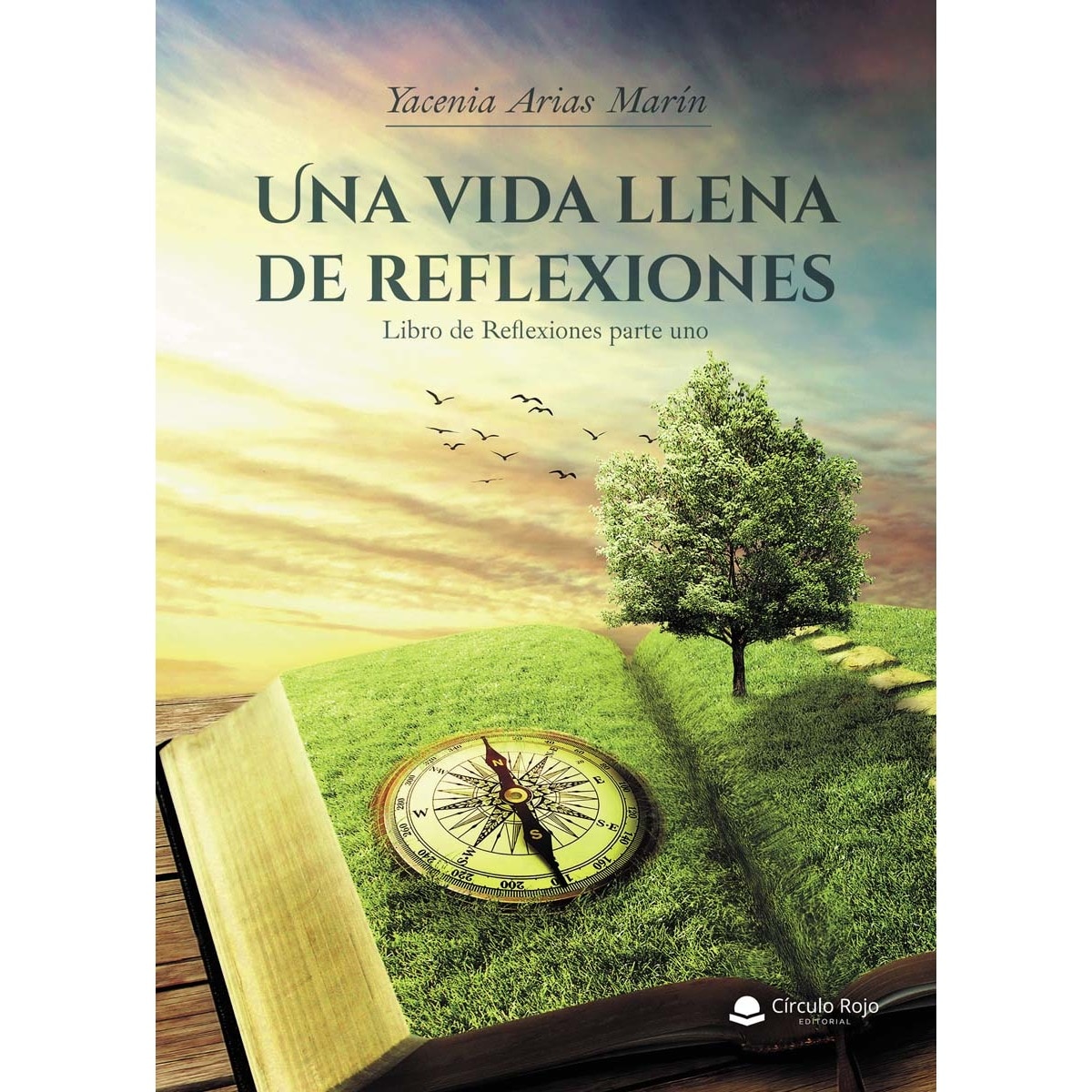 Una vida llena de reflexiones (Capa mole) 1