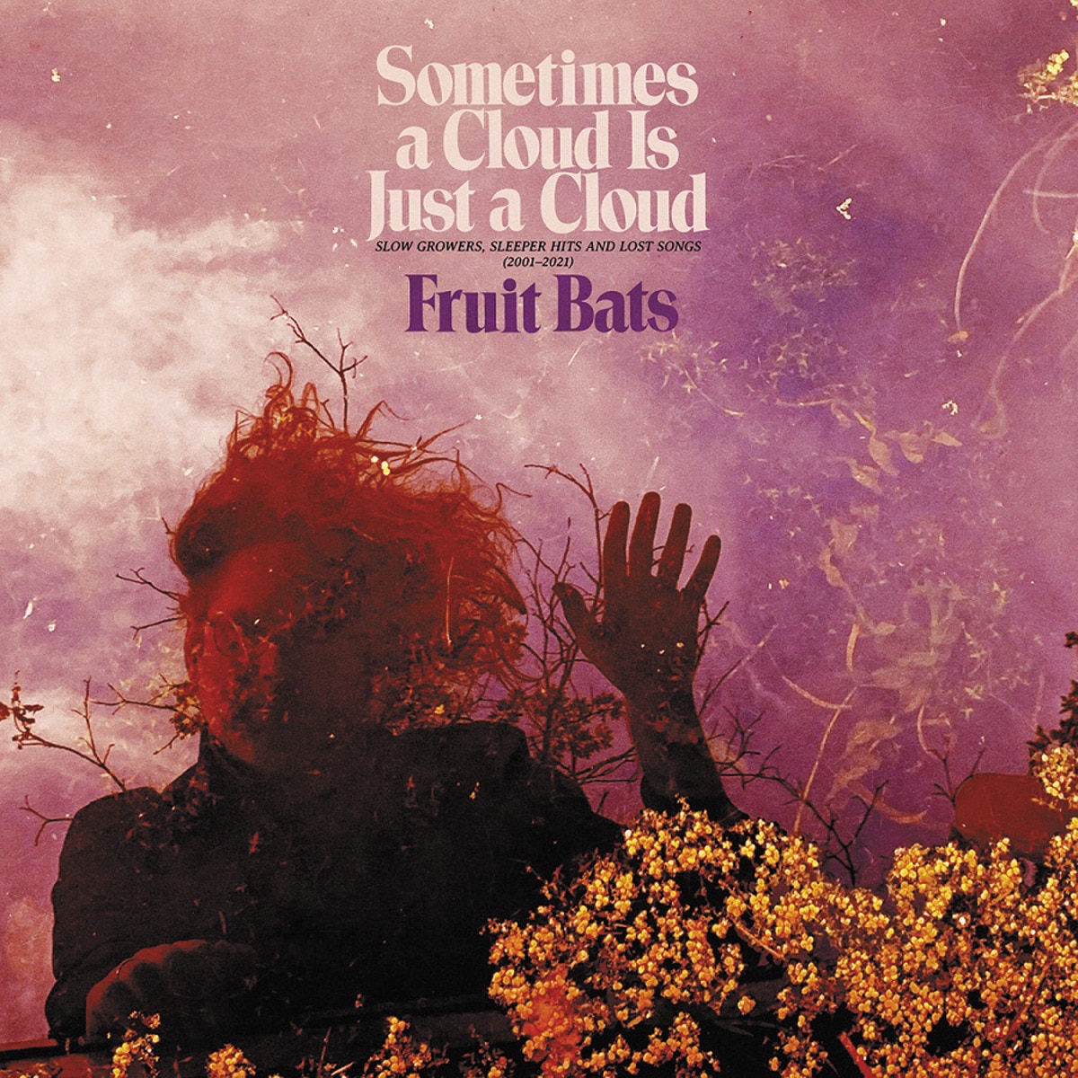 Imagem 0 de Sometines a Cloud is Just a Clous: Slow Growers. Sleeper Hits and Lost Songs (2001-2021)  (2 LP-Vinil)