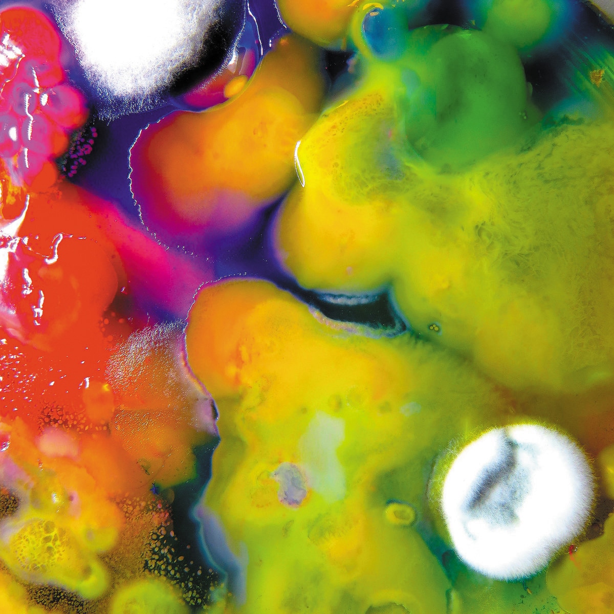 Imagem 0 de Famously Alive (LP-Vinil)