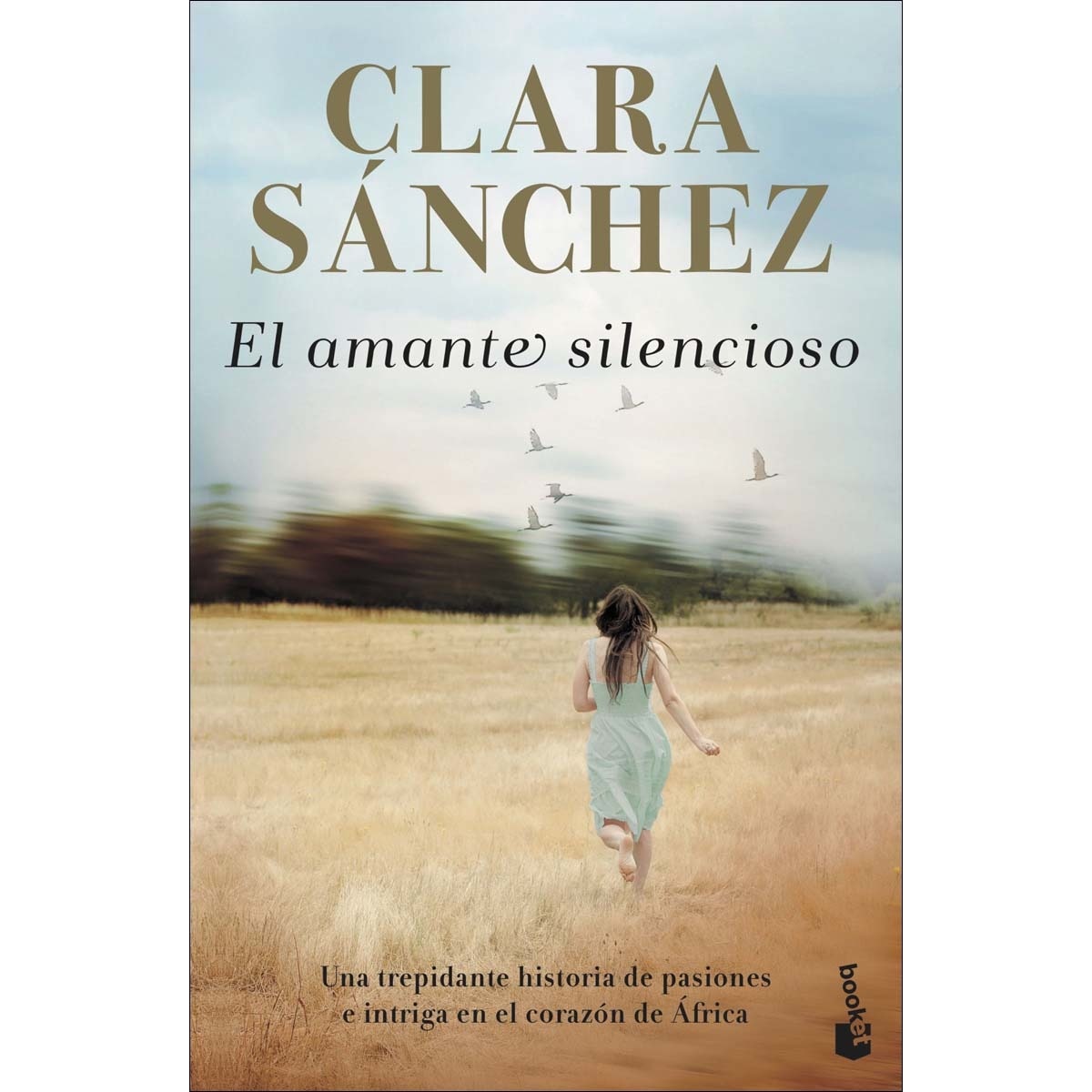 Imagen 0 de El amante silencioso (Bolsillo) (Tapa blanda)