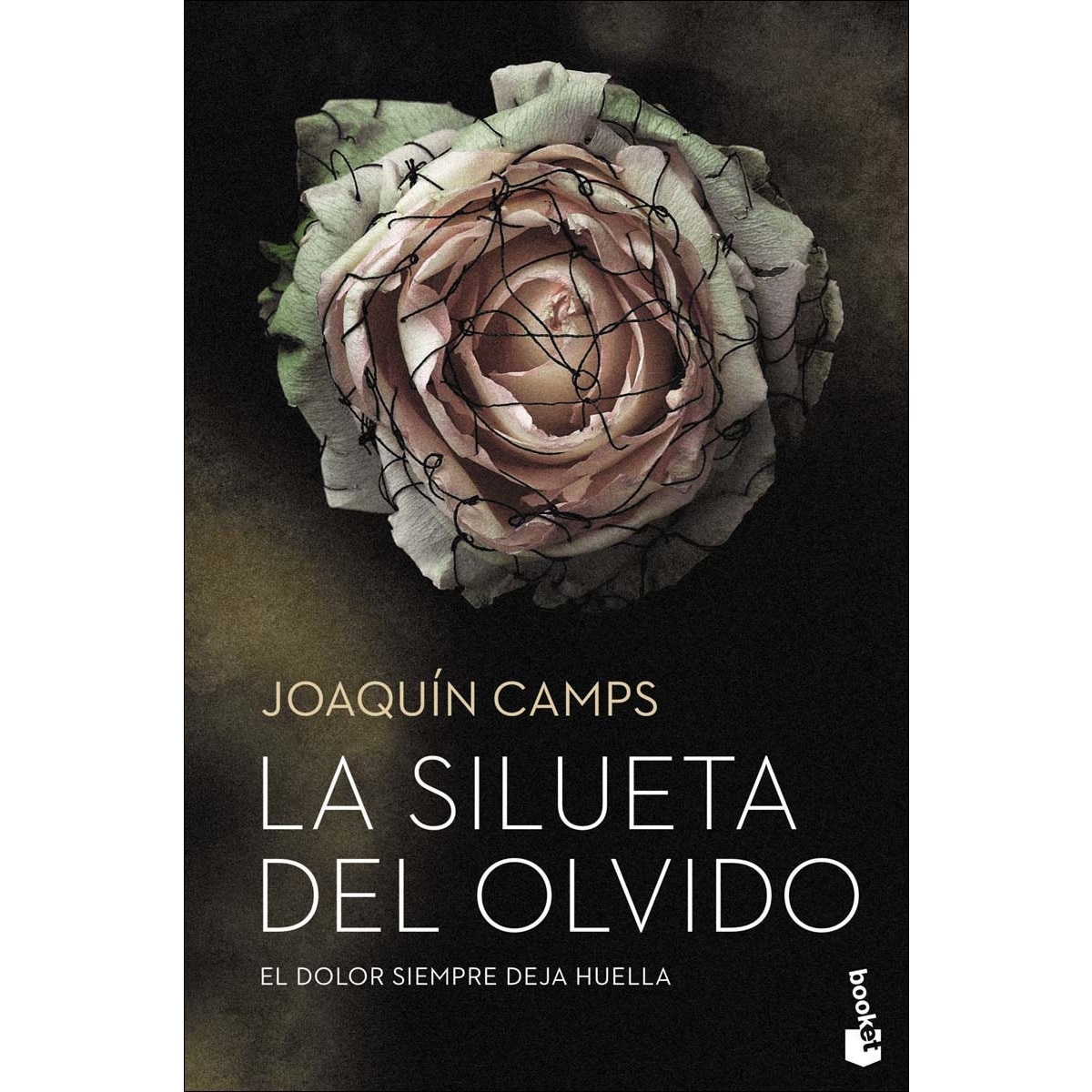 La silueta del olvido(Bolso) 1