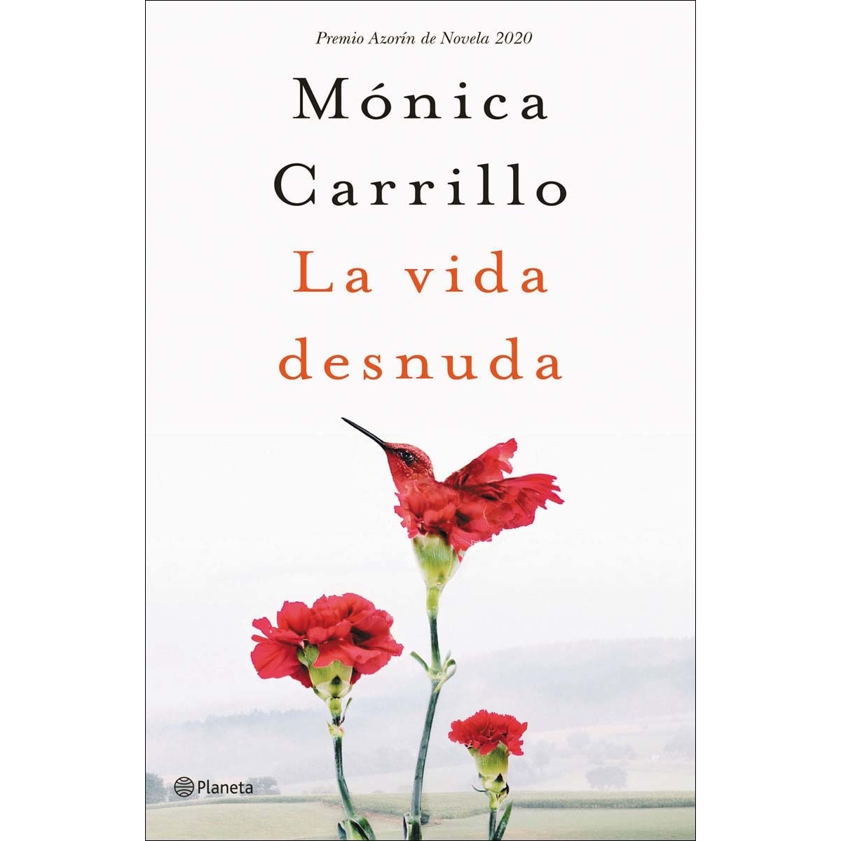 Imagen 0 de La vida desnuda: Premio Azorín de Novela 2020  (Tapa dura)