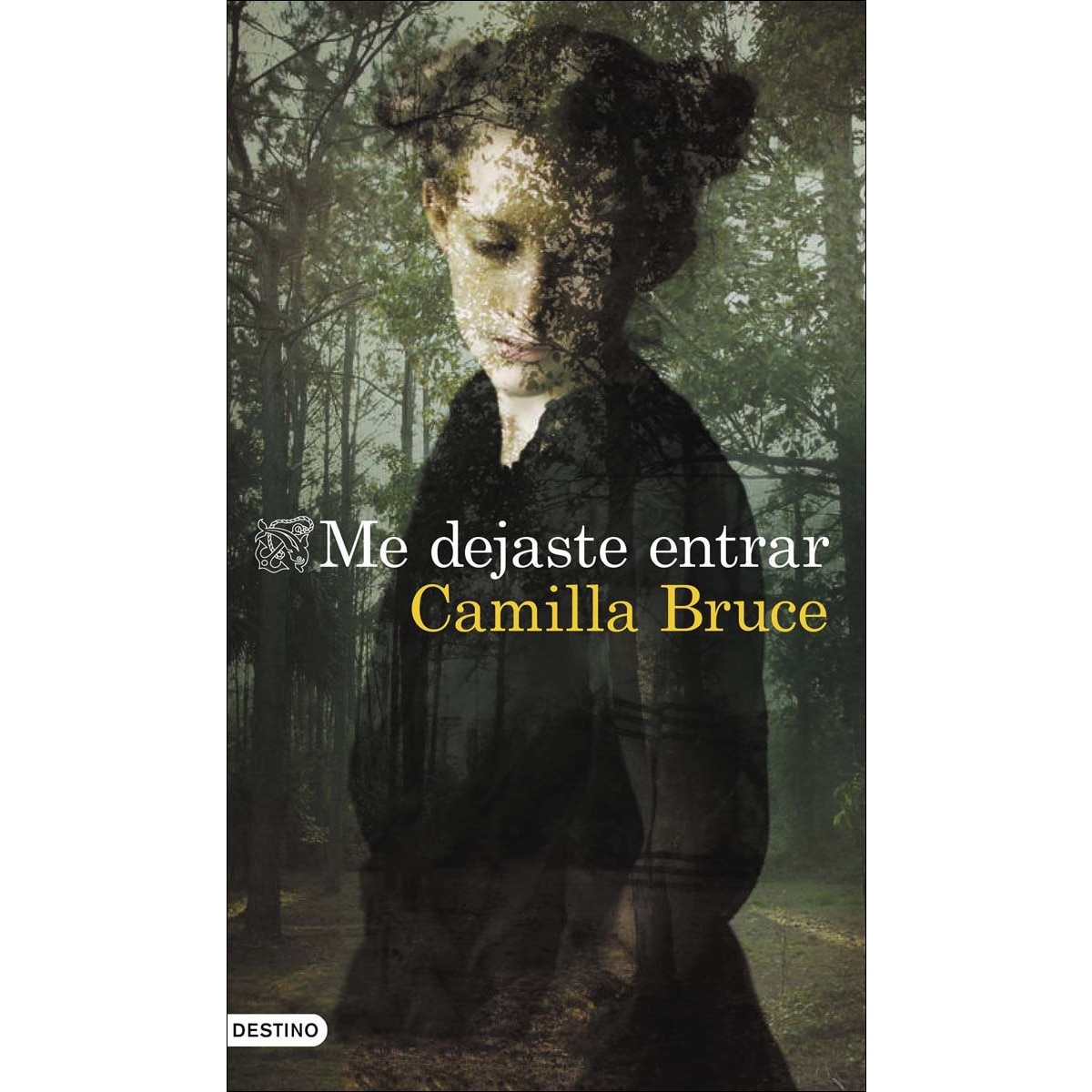 Me dejaste entrar  (Tapa blanda con solapas) 1