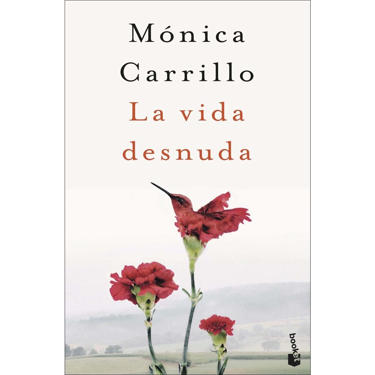 Imagen 0 de La vida desnuda: Premio Azorín de Novela 2020  (Bolsillo) (Tapa blanda)