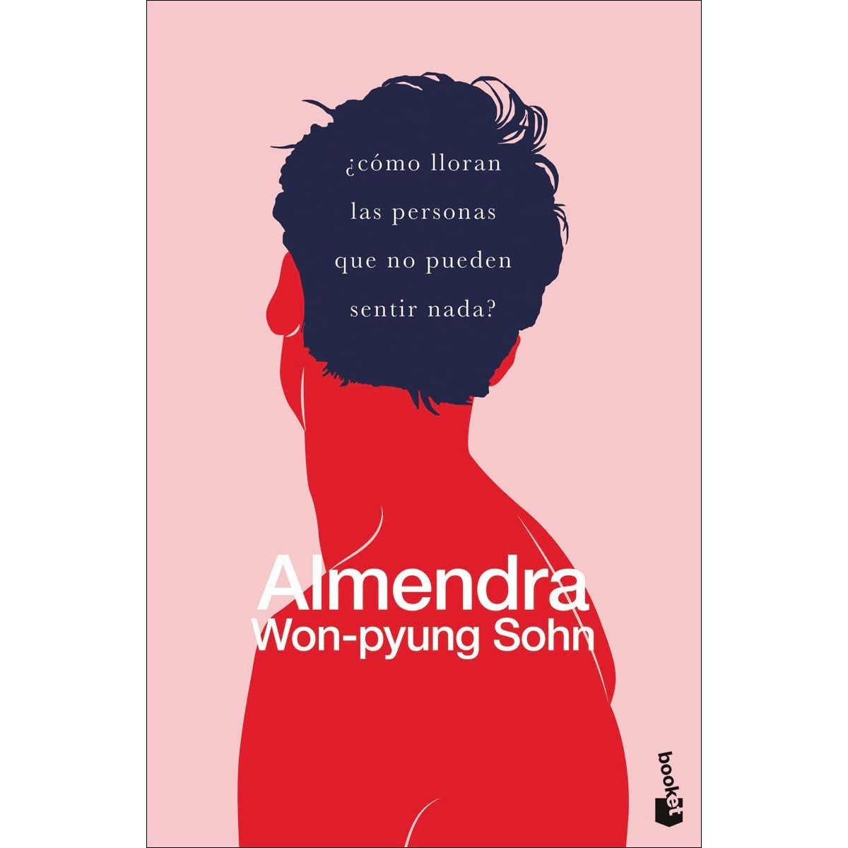Almendra (Bolsillo) (Tapa blanda) 1