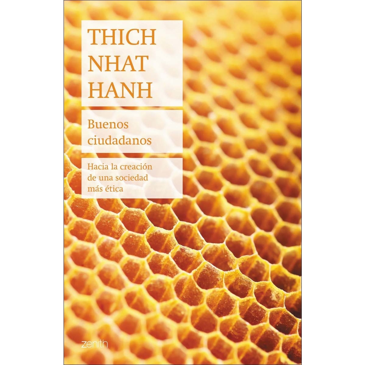 Buenos ciudadanos: Hacia la creación de una sociedad más ética (Capa mole com abas) 1