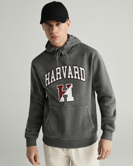 Sudadera de hombre gris oscuro con capucha · Green Coast · El Corte Inglés