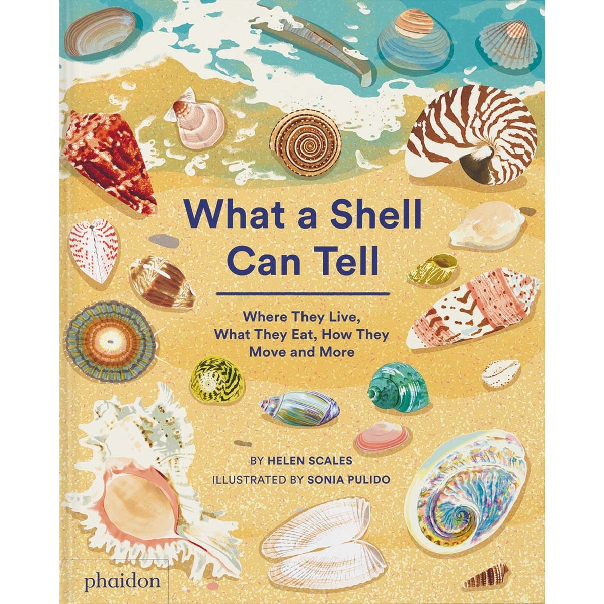 Imagem 0 de What a shell can tell