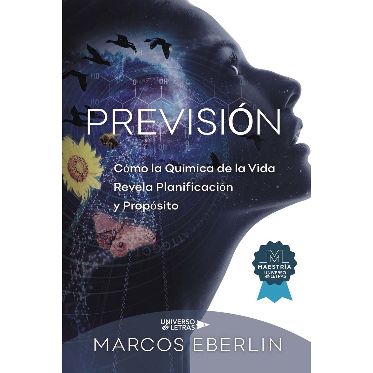Previsión (Capa mole) 1
