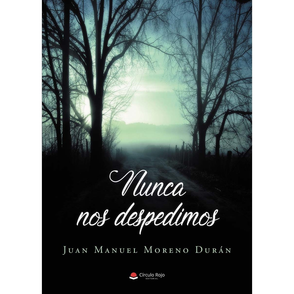 Nunca nos despedimos(Tapa blanda) 1