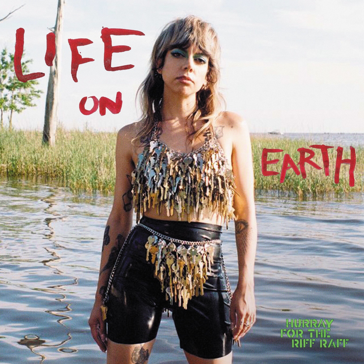 Imagem 0 de Life On Earth (LP-Vinil)