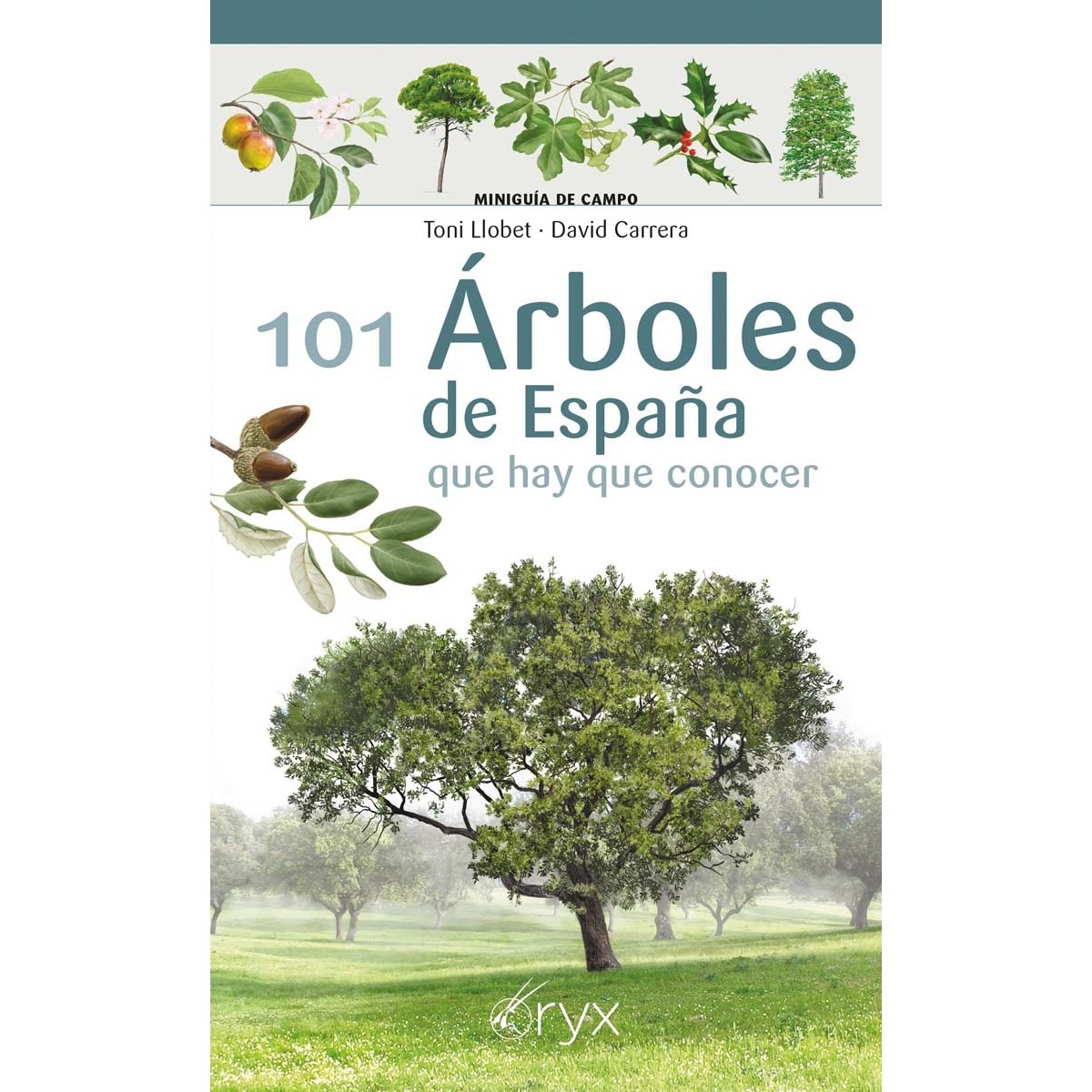101 Árboles de España: que hay que conocer 1