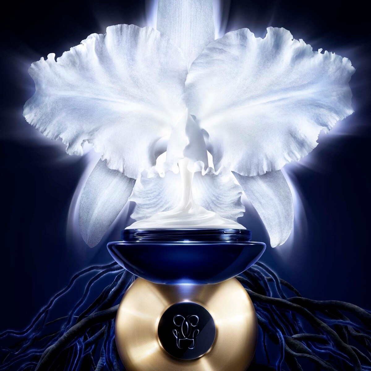 Creme Dia Orchidée Impériale - 50 ml 3