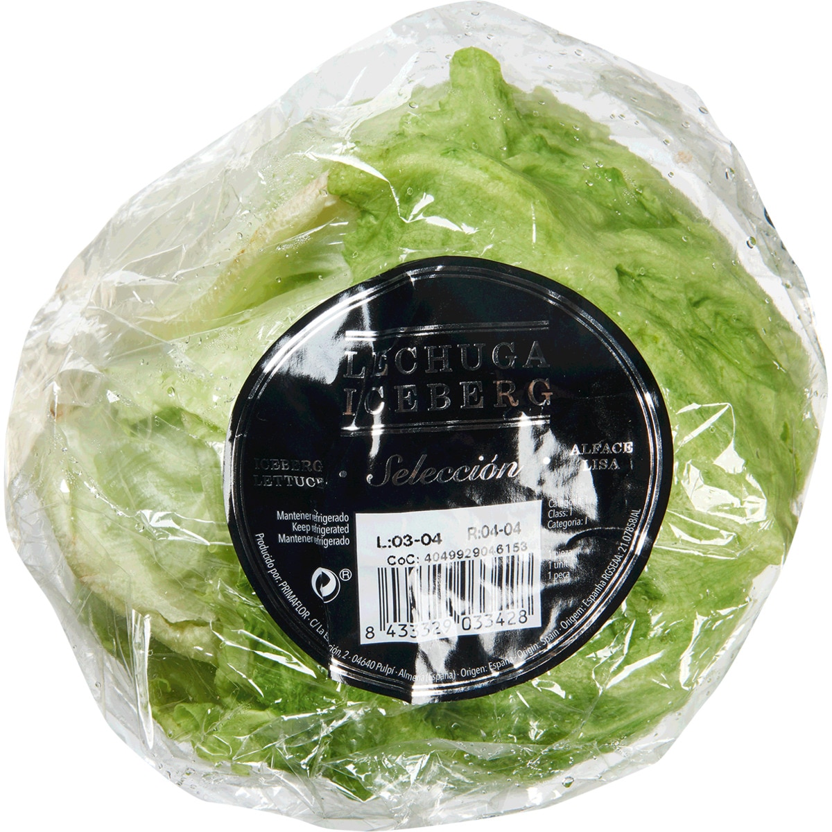 Alface Iceberg embalagem 500 g